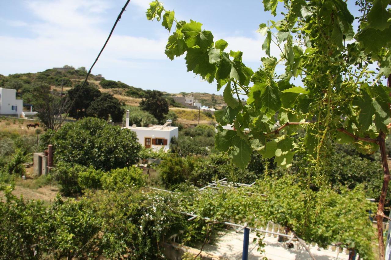 Kalypso Apartments Lipsi Exterior photo